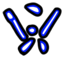 Image of the occurrence
